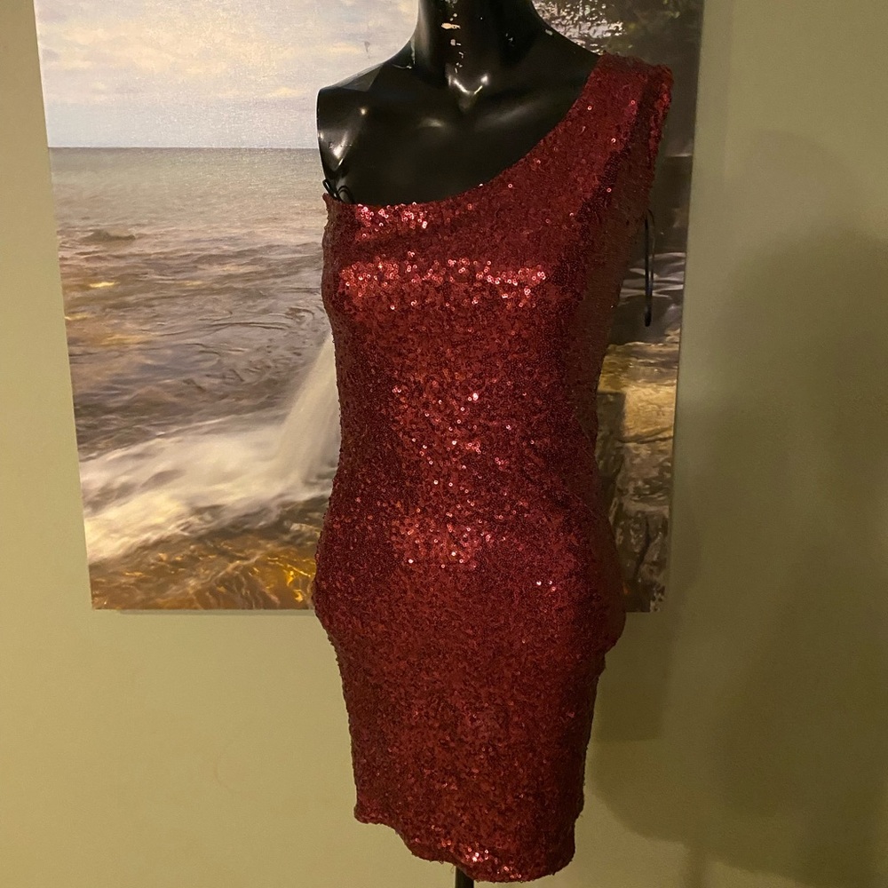 Burgundy sequin dress